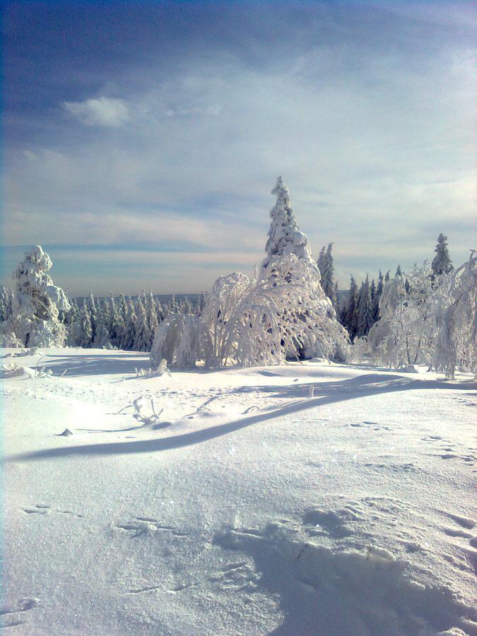 Gaestezimmer Im Haus Am Wald Фройденщат Екстериор снимка